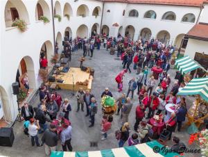 Mlada portugalka 2017 7